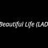 Ace Of Base Beautiful Life LADYNSAX Cover