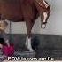 Equestrian Horse Horses Pony Pferde Cheval Hest Trending Funny