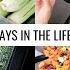 VLOG Grocery Haul Healthy Cooking Cozy Days At Home Annie Jaffrey