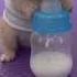 Cute Cat Drinking Milk Shorts Petlover Funny