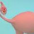 How Does The Abortion Pill Work Shorts Abortion