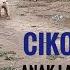 ANJING KAWIN CIKO DAN ALDO