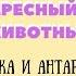 Интересный мир животных Выпуск 1 Арктика и Антарктида интенсив