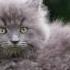 Slideshow With Beautiful Music Rob Costlow Goodbyes HD