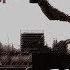 TULE FEARLESS PARKOUR N FREERUNNING