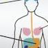 Genetic Testing For Inherited Risk For Cancer