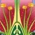 Parts Of Flower Pollination Video Video For Kids