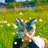 Fine Therian Therianthropy Quadrobics Shorts Fyp Tiktok Edit