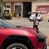 International Road Trip Se Pehle Road Trip