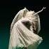 Ballerina ENGULFED By Ballet Skirt