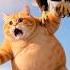 THE UNLUCKY ORANGE CAT Shorts Cat Catlovers Catstory Ai