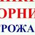 15 апреля Великий Вторник Что нельзя делать 15 апреля Народные традиции и приметы и молитвы