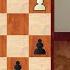 Five Minutes With Ben Lajos Portisch Vs Anatoly Karpov Biel 1996