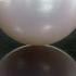 Formation Of A Pearl Secret Life Of Pearls