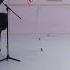 Ballet Barre 9 Online Ballet Class Dutch National Ballet
