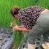 Green Onion Harvest Satisfying Short