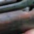 2 Magazine Cut Off Italian Vetterli M187 87