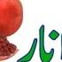 Alif Se Anar Bay Se Bandar Urdu Alphabets Alif Bay Pay Urdu Varnamala Learn Urdu SONAM WORLD