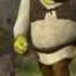 Shrek You Shouldn T Judge People Before You Get To Know Them