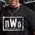 Nwo Theme