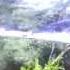 How To Setup A Sump Refugium