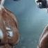 Creed III Extended Big Game Spot