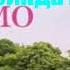 Люсинда Райли Любовное письмо