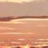 За утро Я судьбу Благодарю рассвет поэзия красота чувства россия любовь тренды топ рек Fyp