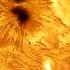 Very Big Sunspot 4079 Close Up Captured From My Backyard Astronomy Solarsystem Space