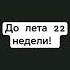 Хапи Хапи