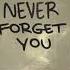 AFROJACK Never Forget You