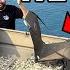 BassPro Shops Jon Boat BUILD The Pond Hopper