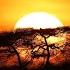 Introspective Taal Aakash Gandhi Cinematic Happy