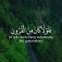 حالات واتس