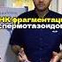 ДНК фрагментация спермотазоидов