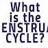 How Menstruation Works Emma Bryce