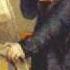 Mozart Le Nozze Di Figaro Overture