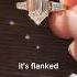 Elongated Hexgaon Cut Diamond