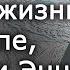 Поиски жизни на Европе Титане и Энцеладе Борис Штерн Лекции по астрофизике и астрономии