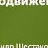 Аналитика ссылочного продвижения Вебинар с Александром Шестаковым