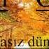 Elsen Efsel Vefasiz Dunya