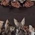 The Man Who Lives With The 17 Tiny Kittens He Rescued Is Experiencing An Explosion Of Happiness