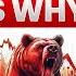 Why Nifty Down Crypto Bitcoin Investographer