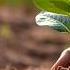 Carbon Offsets Haven T Delivered Is It Even Possible To Fix Them