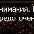 Брюс Алан Уоллес Глава 6 Революция внимания Пробуждение силы сосредоточенного ума