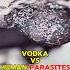 Vodka Vs Parasitic Worms You Won T Believe This