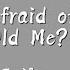 TAYLOR SWIFT Who S Afraid Of Little Old Me Lyrics