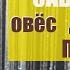 Как ПРАВИЛЬНО заварить НЕОЧИЩЕННЫЙ ОВЁС ДЛЯ ЧИСТКИ ПЕЧЕНИ