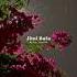 Jitni Dafa Aesthetic Status Lyrics Trending Trendingshorts Love Youtubeshorts Youtube