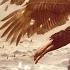 The Last Flight Of Icarus